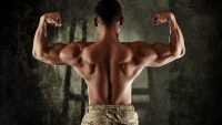 Les 8 exercices pour muscler son dos au poids du corps